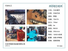 羅德凸輪轉(zhuǎn)子泵大慶油田應用