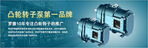 羅德轉(zhuǎn)子泵與南方某電機(jī)廠家技術(shù)交流，討論合作.